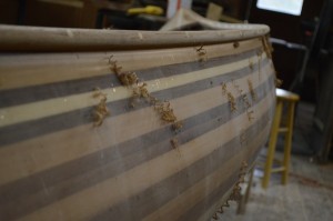 Shaping the outside gunnels. For some reason the shavings would stick to the side of the canoe. . .